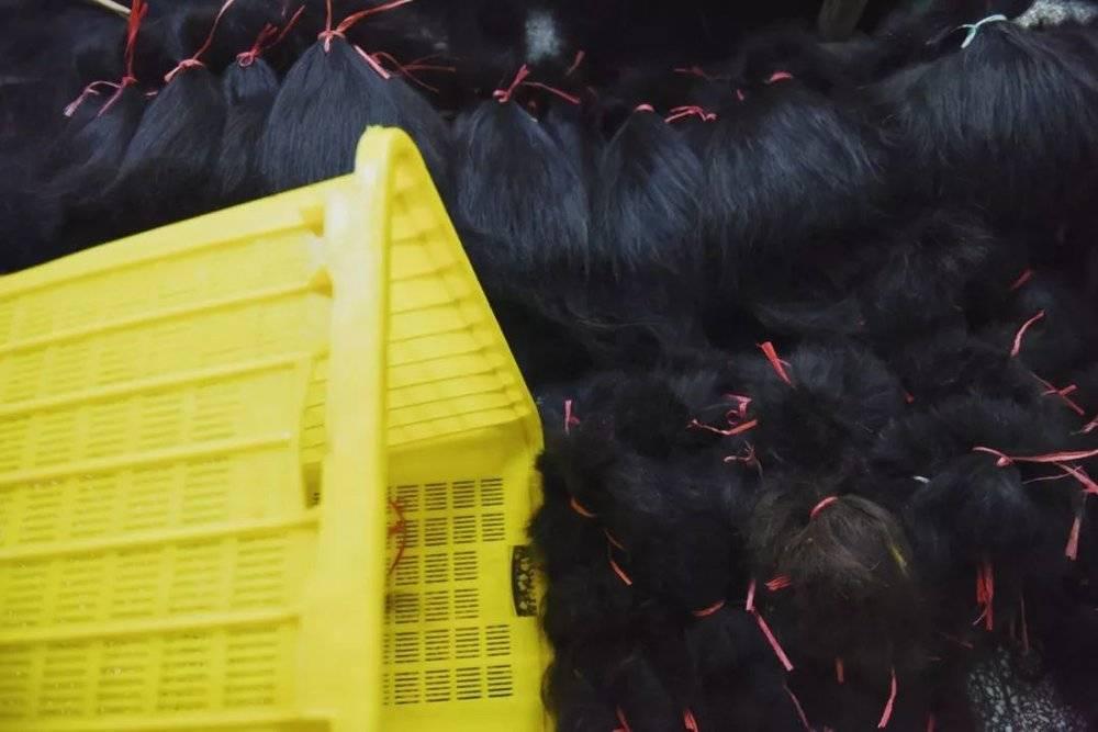 假发行业和生发行业,治脱发卖假发