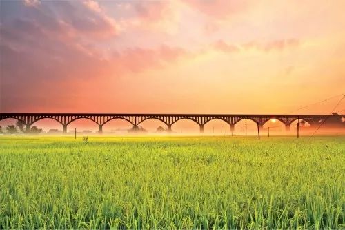 3年30亿扶持3000村!广东“一村一品、一镇一业”今年起这么干!