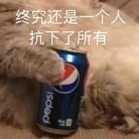 猫在啪啪啪的时候，也有快感吗？