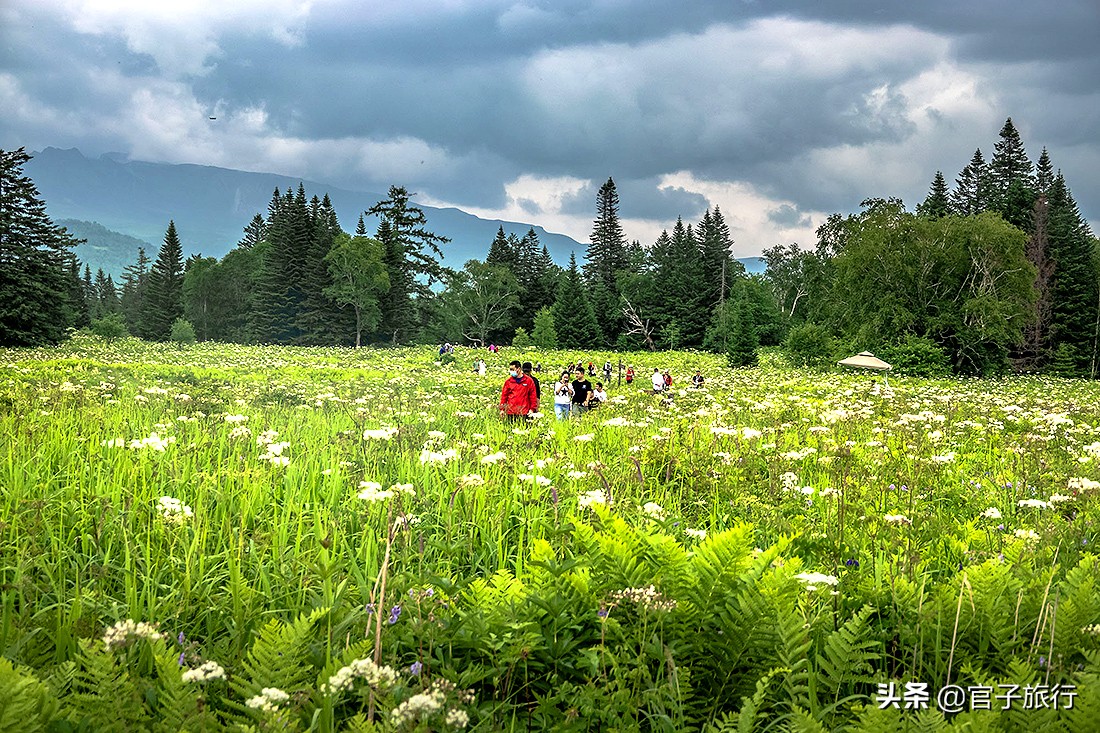 自驾游夏天长白山旅游攻略,夏天长白山附近旅游攻略