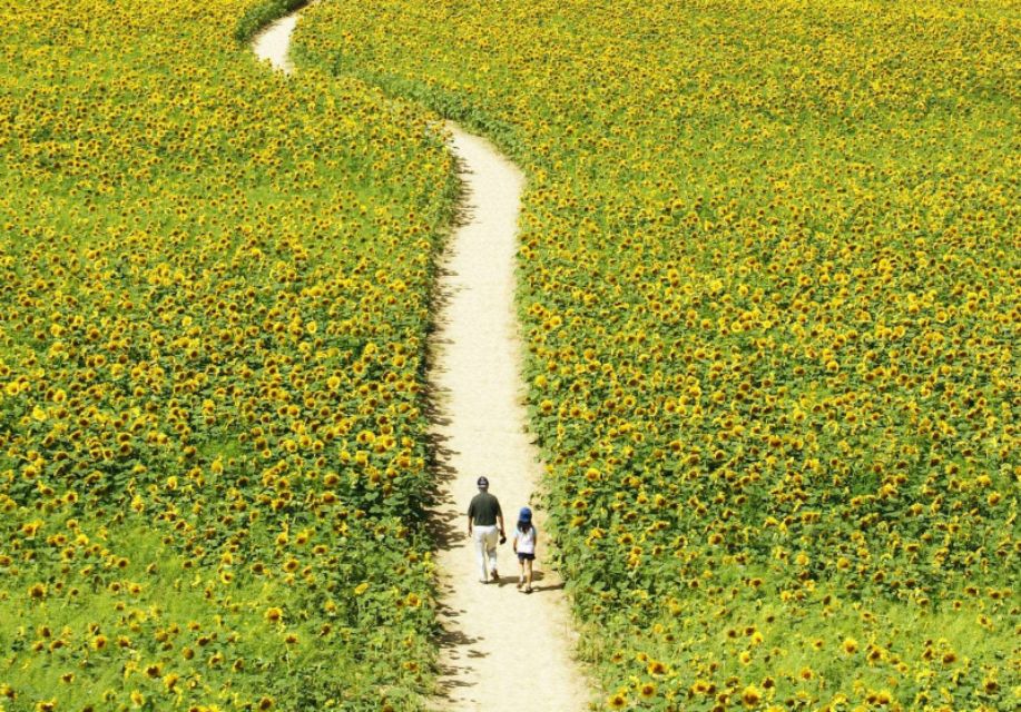 自然之美陶冶人的心灵,用心去感受自然之美