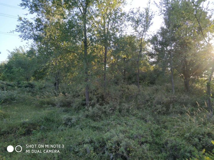 大连长兴岛长城,大连长城4s店