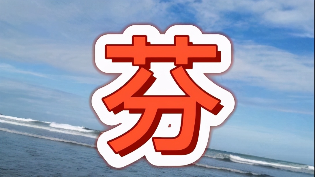 带芬字的女孩名字,女孩名字带芬字的寓意