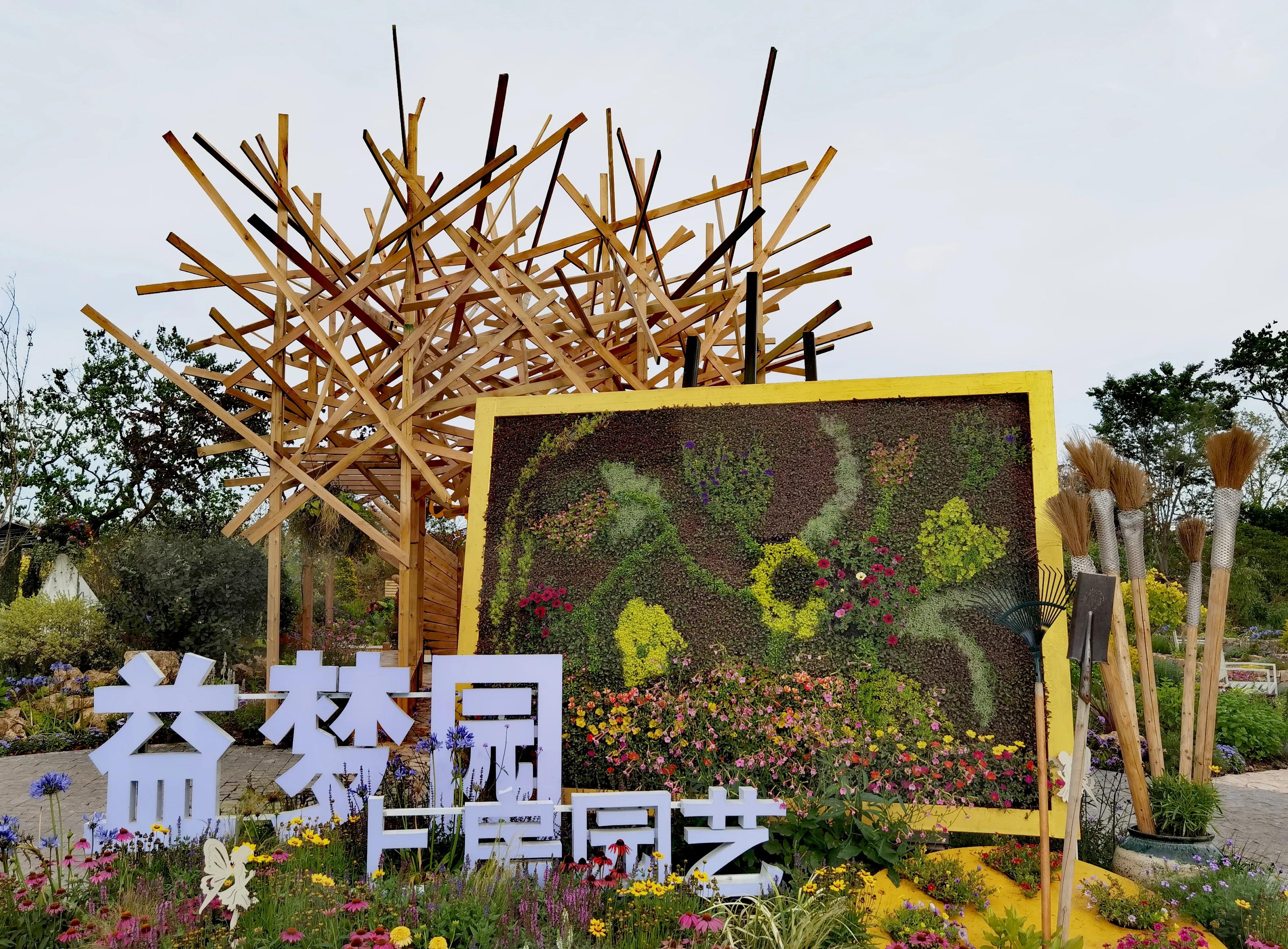 关于崇明花博会,崇明花博会全程花景