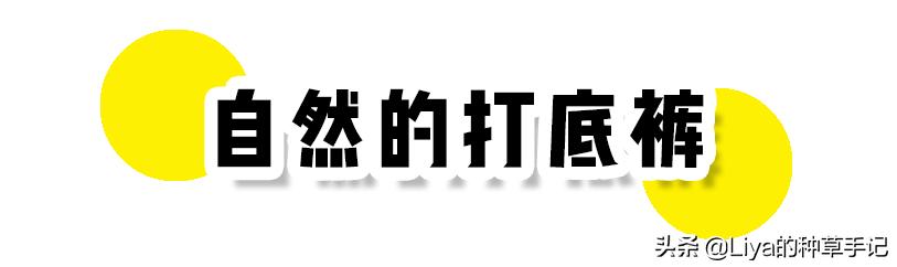 “打*裤底**”怎么穿才不土？记住这4点