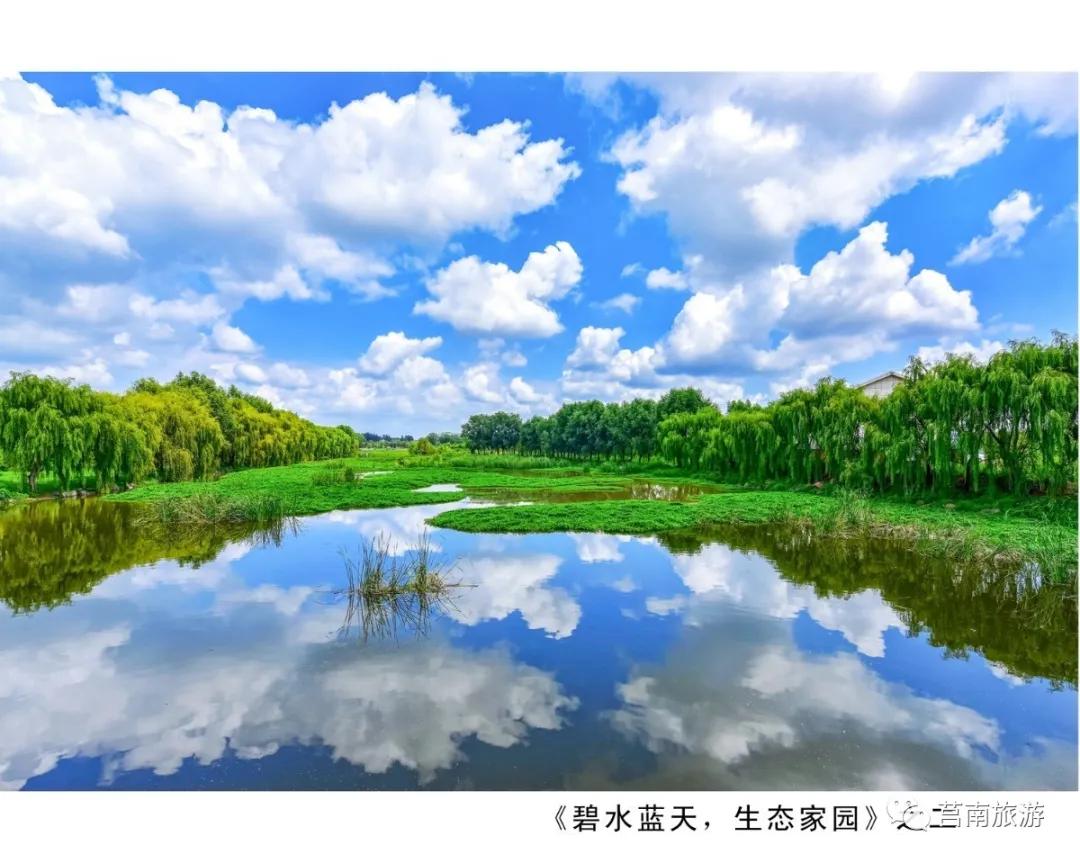 悦享莒南|惊艳了莒南蓝，温暖了遇见