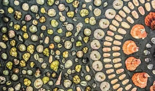 山东大爷捡100万贝壳造楼完整版,山东大爷拿起1000万金砖视频