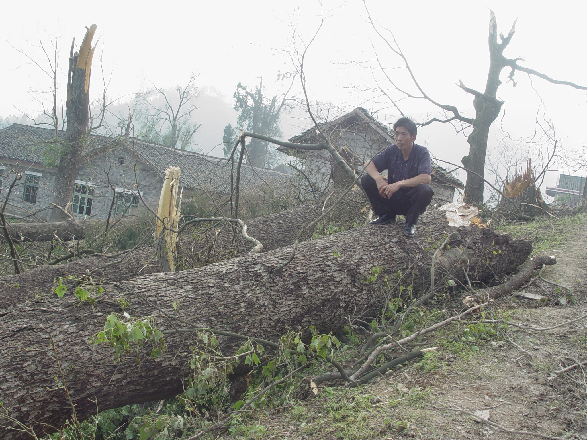 1945年，晃县桓胆霍乱流行，两兄弟用侗医扑灭恶疾“老鼠窜皮”