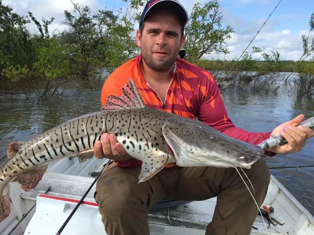 世界顶级淡水鱼大全,世界上顶级鱼类大全