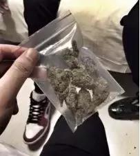 留学勤工俭学靠谱吗,在美留学学什么