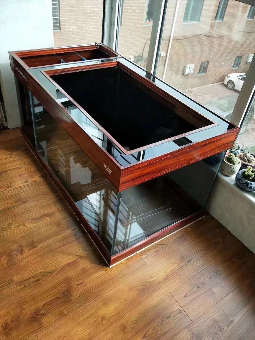 渔友张哥小视频,新鱼缸养锦鲤鱼正确的方法和技巧