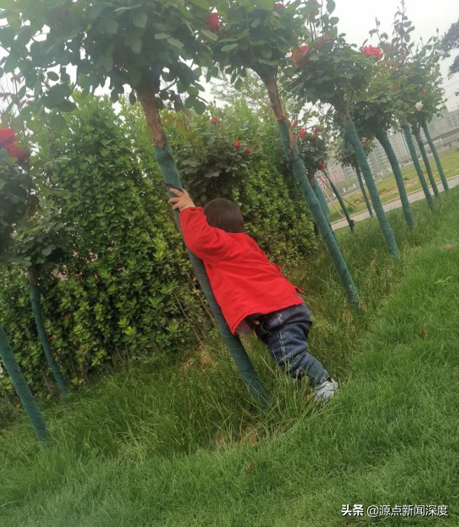 江苏13岁少女被指隐瞒年龄同居产子,DNA鉴定儿子与男友非亲生,她离家半月与他人举行婚礼多人涉案警方介入