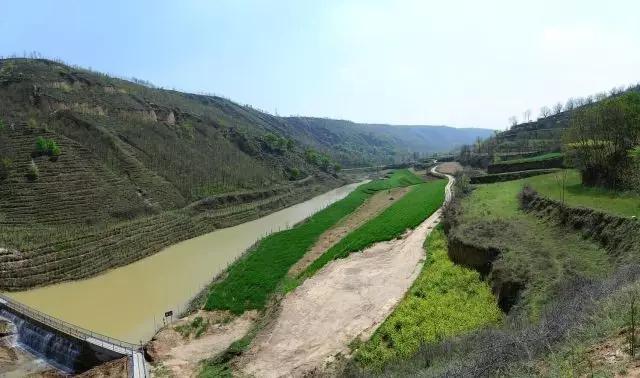 我在长武刚刚好，何必羡慕北上广