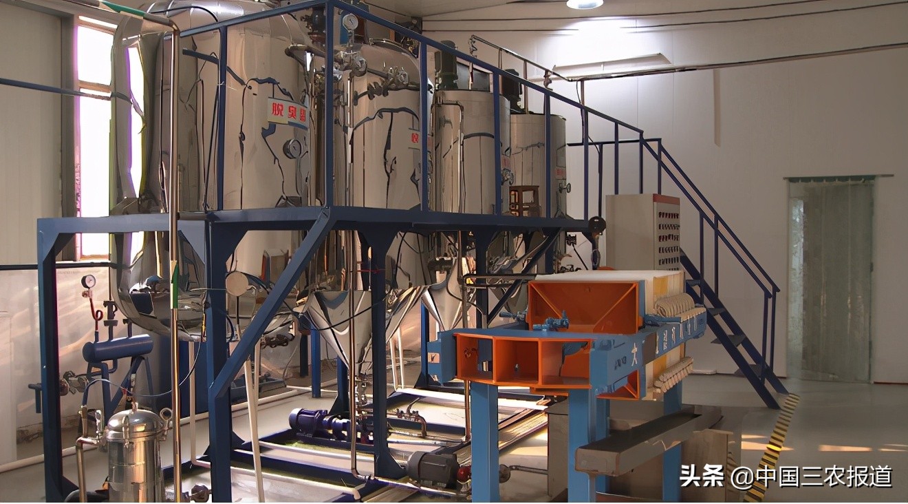 牡丹如何通过栽培增加其观赏价值,牡丹种植的价值