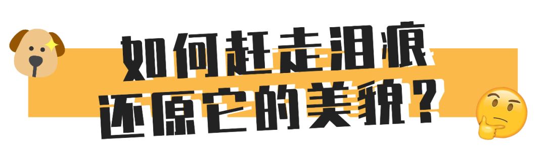 狗狗泪痕怎么处理最有效,狗狗眼睛周围有泪痕怎么去除