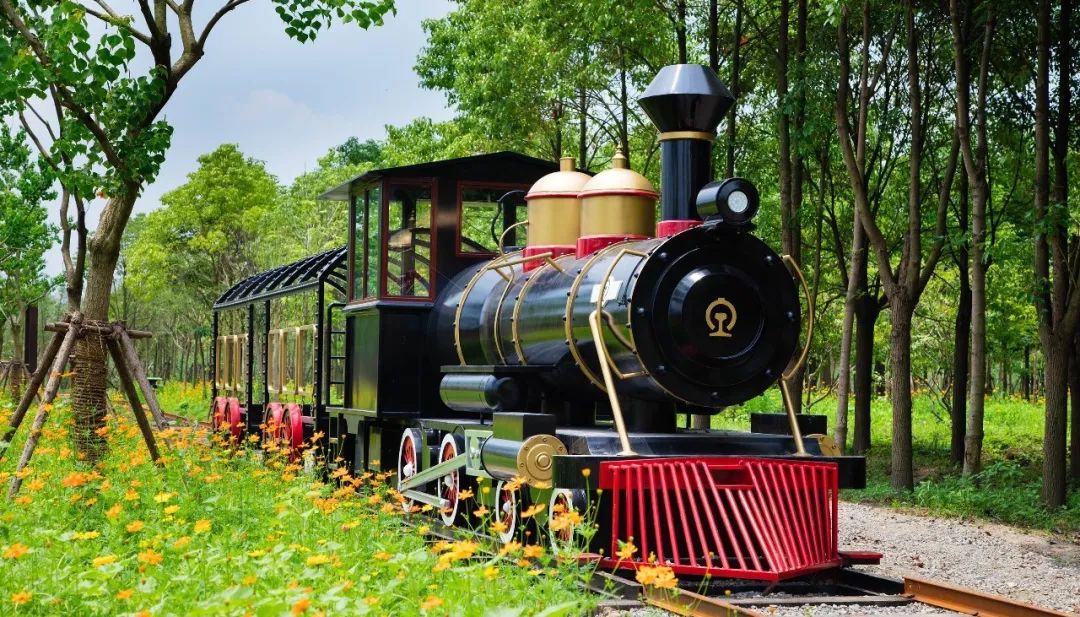 上海国庆免费景点推荐,上海值得去的免费景点旅游攻略