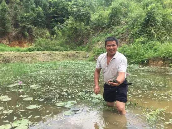 种植摇钱树致富经历,摇钱树养殖都有哪些品种