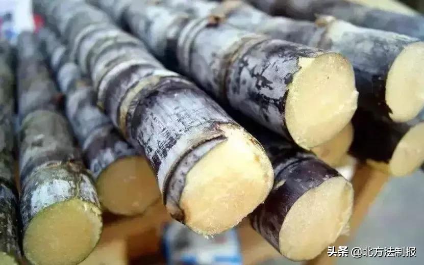 比毒蛇还毒100倍的食物,比毒蛇还毒的它千万别吃