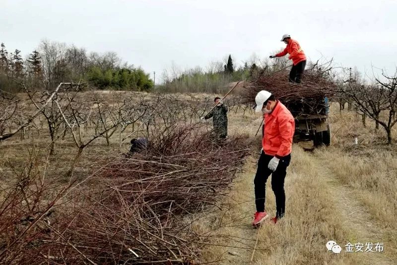 防疫春耕两不误，金安处处有期寄！