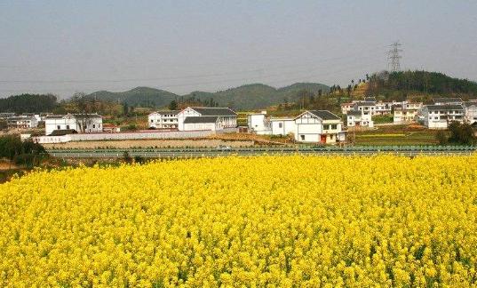 适合打工的创业方式都有哪些,如何月入过万无本钱创业22种方法