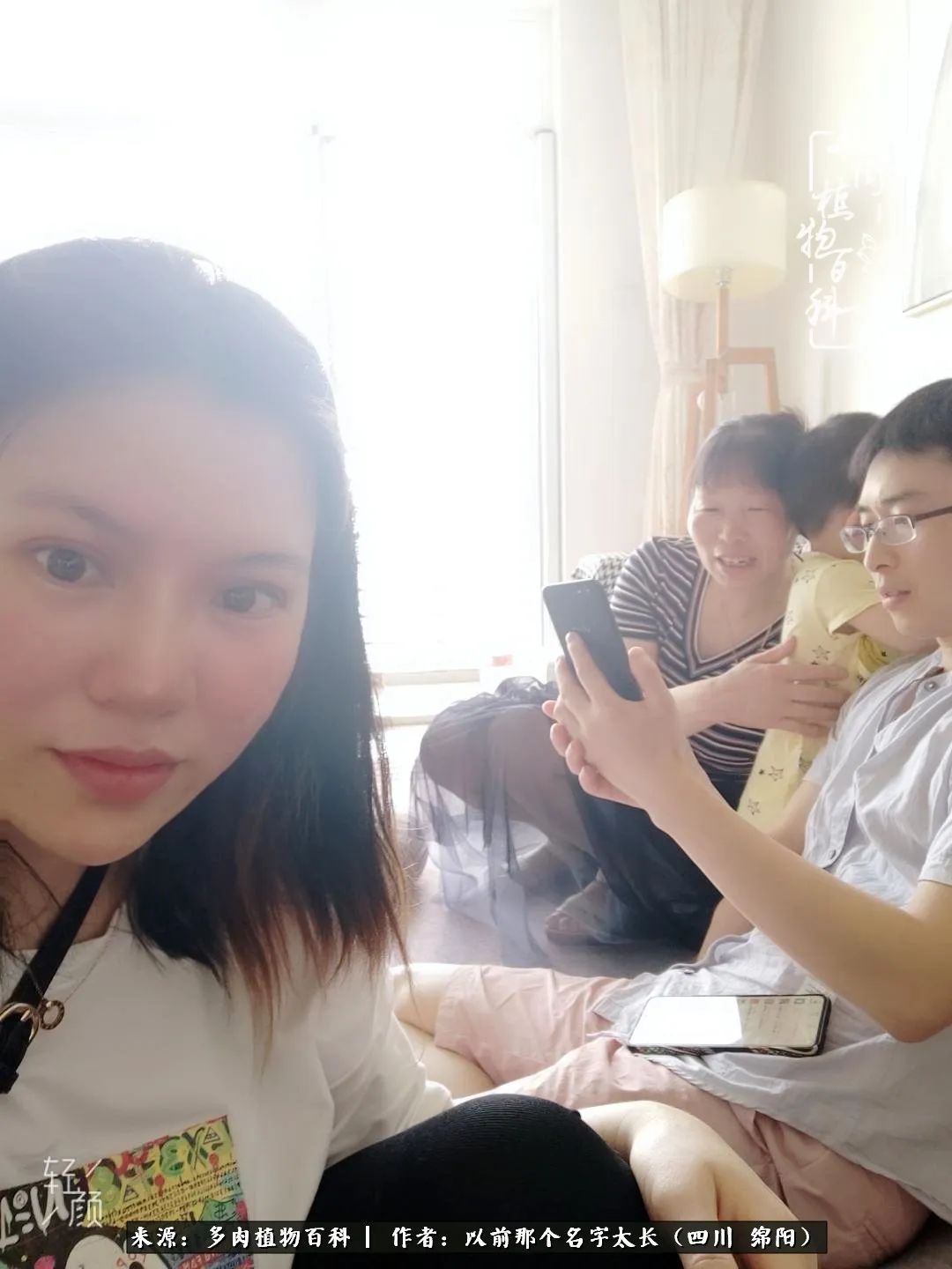 山地玫瑰夏天,山地玫瑰花怎么玩