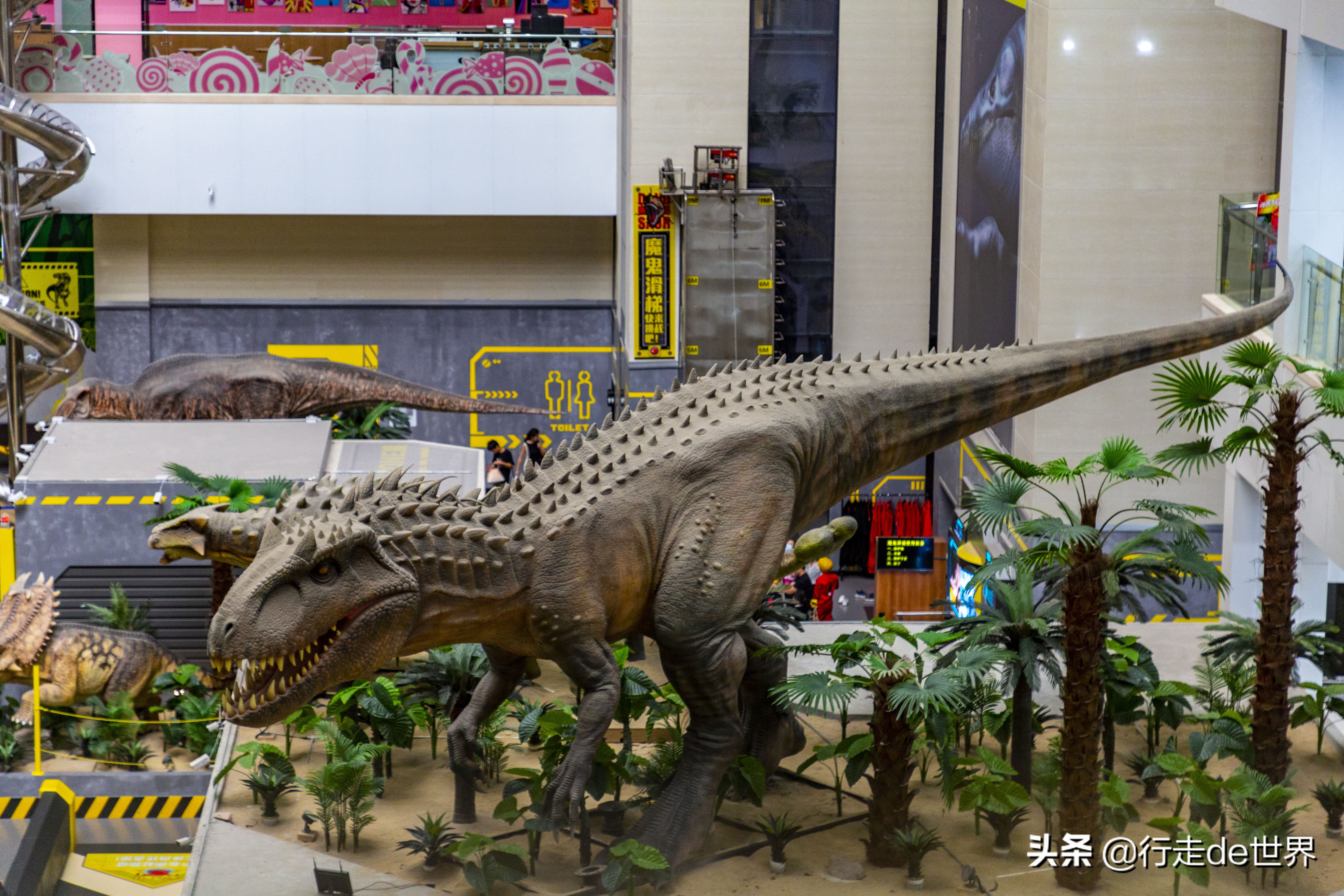 亲子乐园深圳户外,深圳最火爆的亲子乐园