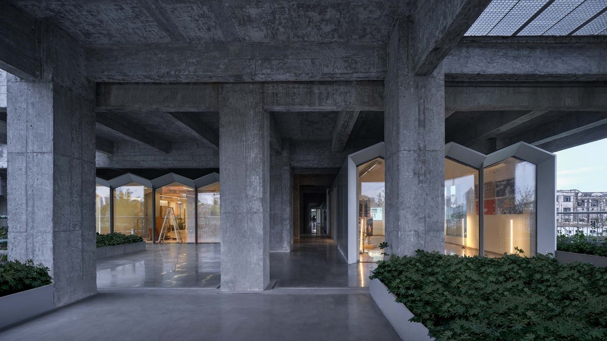 上海打卡的自然风景,上海春天拍照打卡圣地