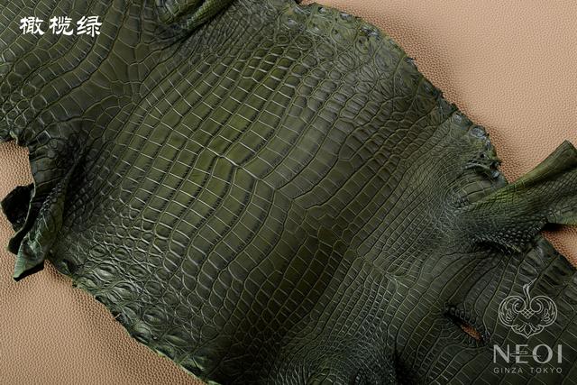 鳄鱼皮包包知识,鳄鱼怎么挑选