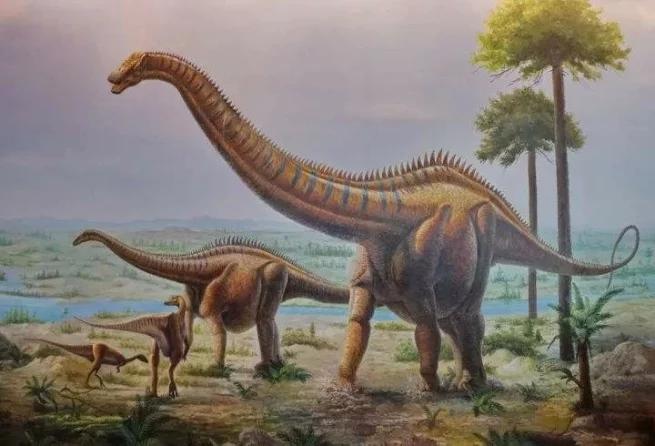 地球最大动物蓝鲸两百吨体重,地球最大的动物是什么动物