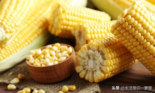 粗粮减肥餐一周食谱,减肥粗粮食谱大全集