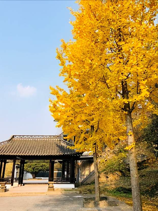 江苏淮安属于长三角区域吗,江苏淮安包括哪些区