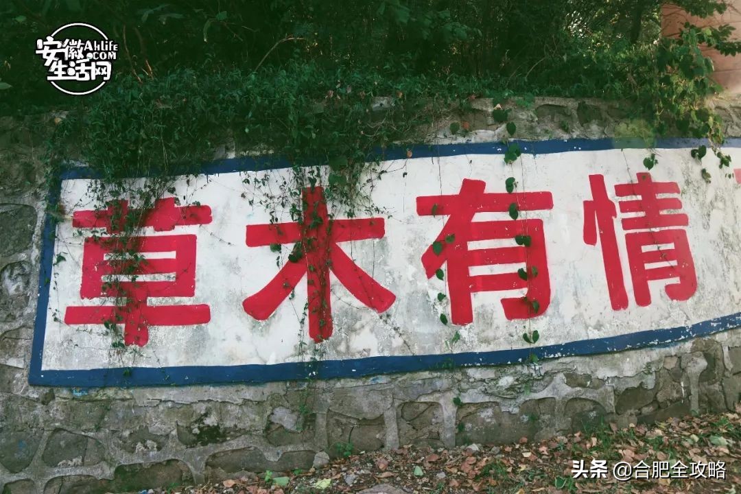 大蜀山,大蜀山爱情故事