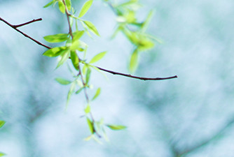 如何查询进口商品是否是正品,如何识别原装进口商品