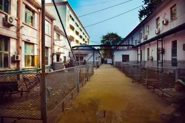 灞卞笀闄勪腑鍒嗘牎,鑿忔辰灞卞笀闄勪腑