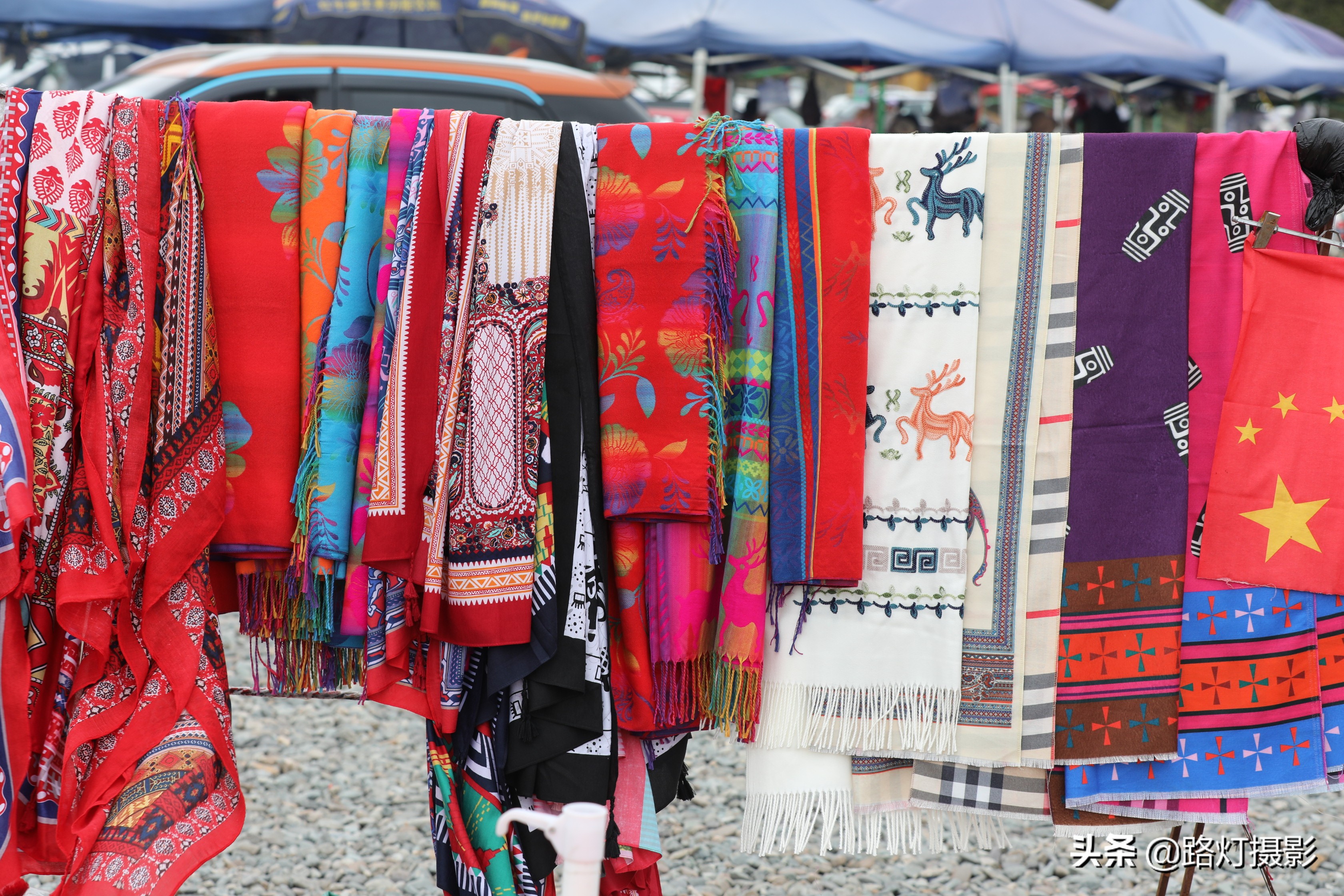 草原美丽的花海风景视频,青海花海旅游景区