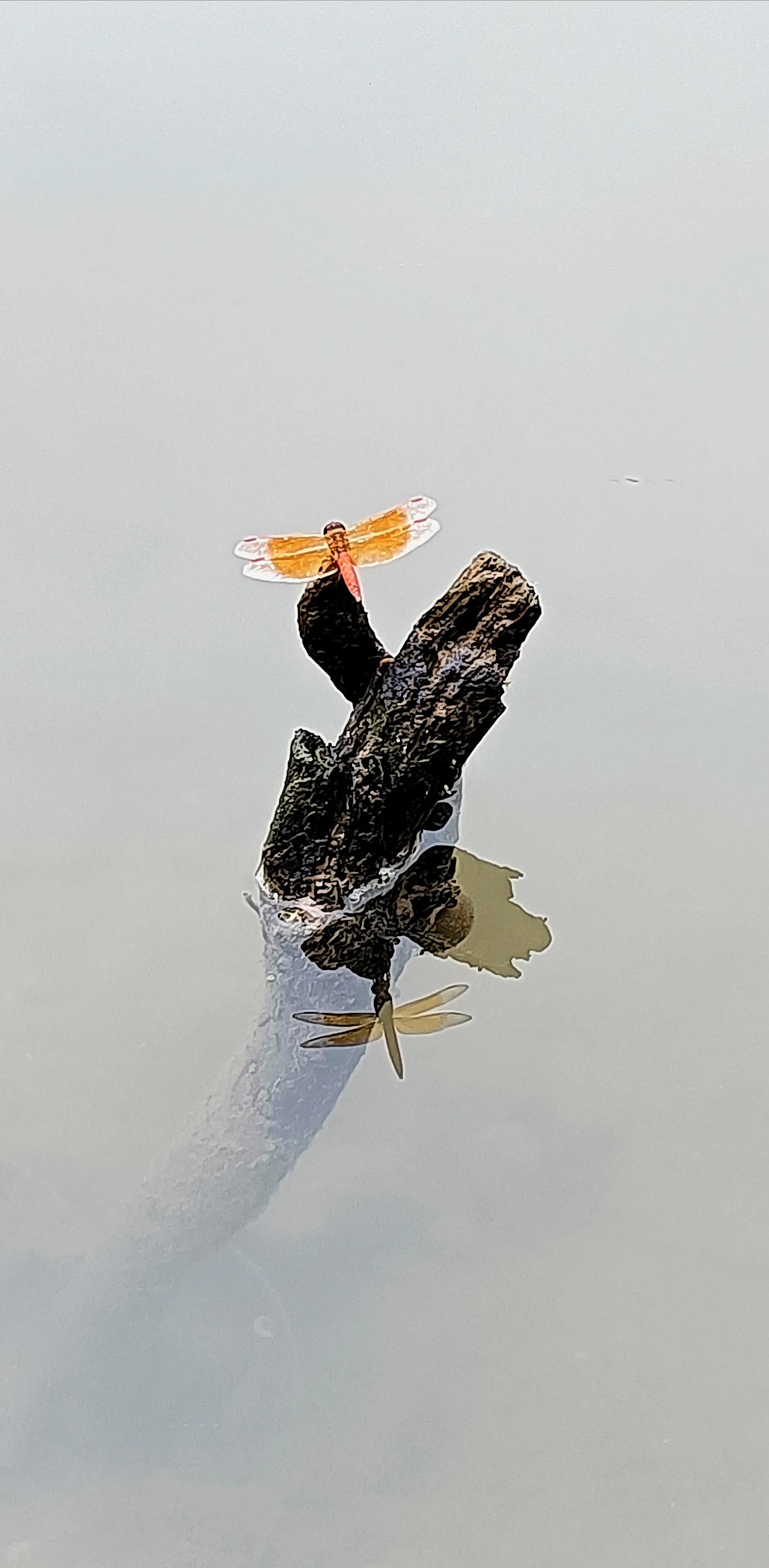 手拍世界投稿,手拍世界作品专集