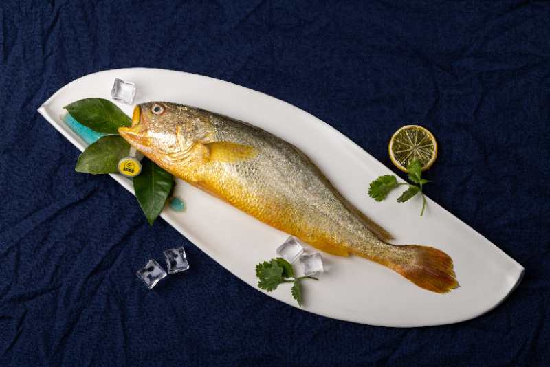 宴遇东极大黄鱼,宴遇东极大黄鱼带给你海的味道