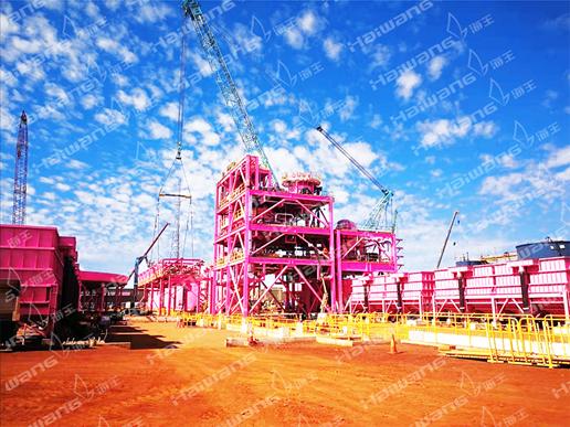 海王集团海外工厂,海王集团2020年大型项目