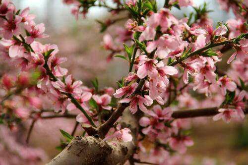 桑园子到什川隧道,桑园子至什川徒步