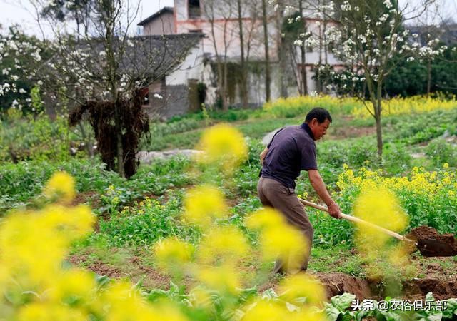 惊蛰春雷一声响万物齐生,惊蛰春雷万物生下一句