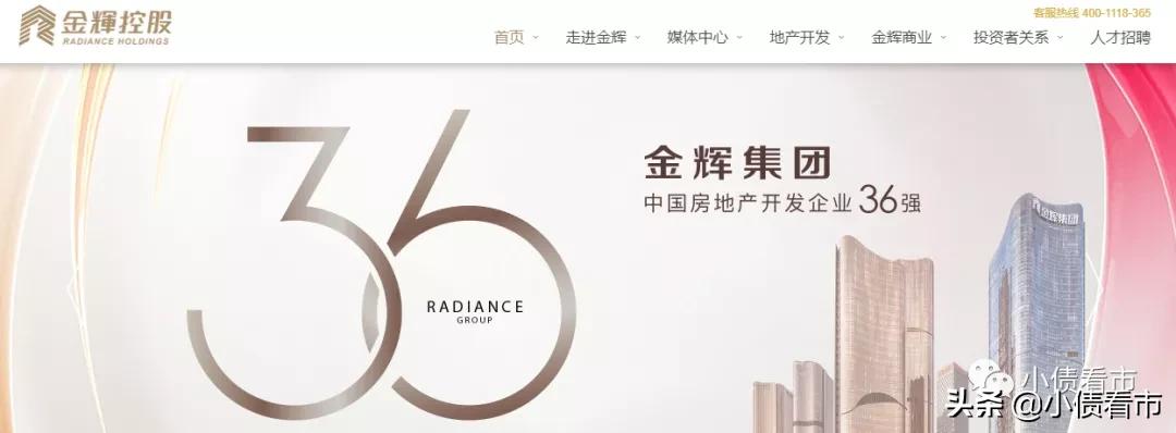 金辉地产总负债,金辉房企简介