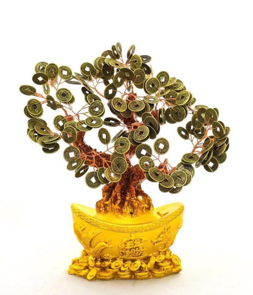 摇钱树开花了会不会烂掉,摇钱树会生钱吗