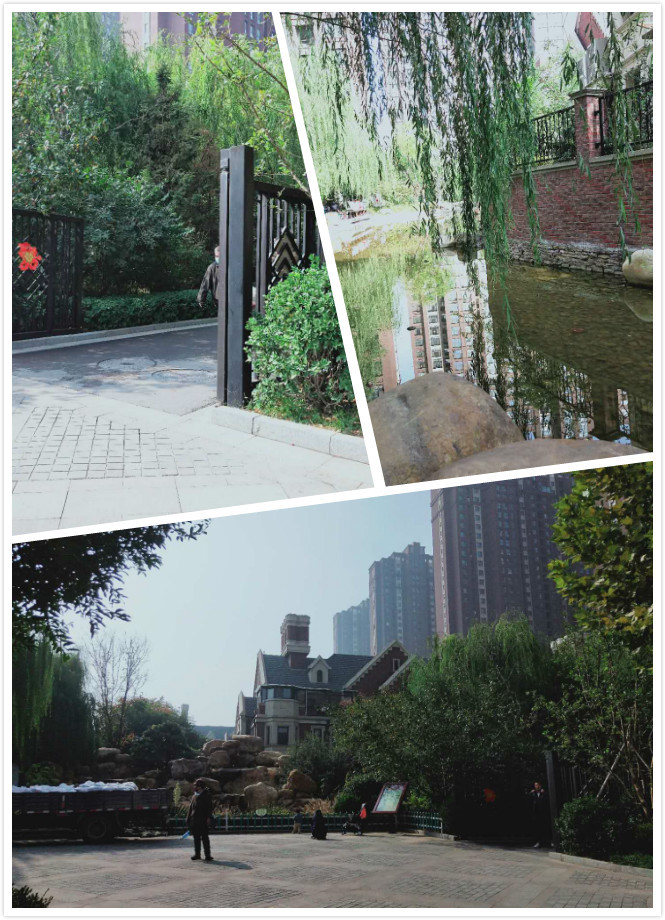 繁华林隐，野景初见——红石原著