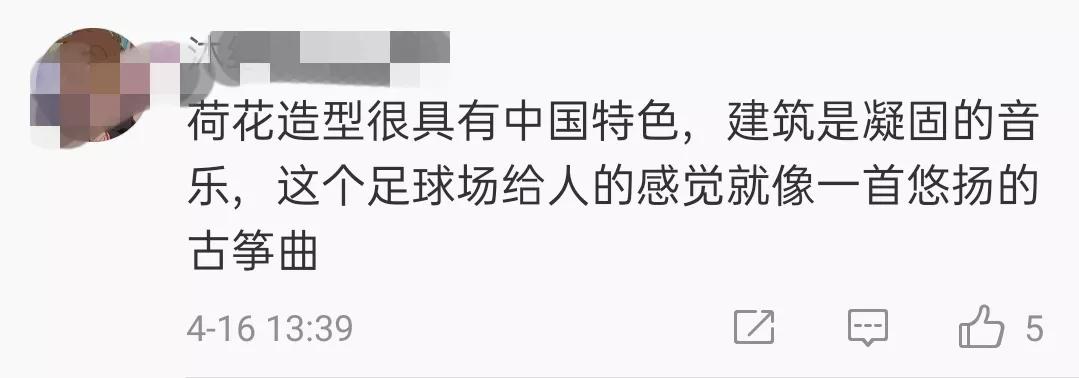 恒大荷花怎么造型,恒大莲花球场真实图