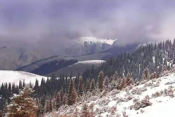 巴音布鲁克镇冬天的生活,巴音郭楞自治州和静县冬天