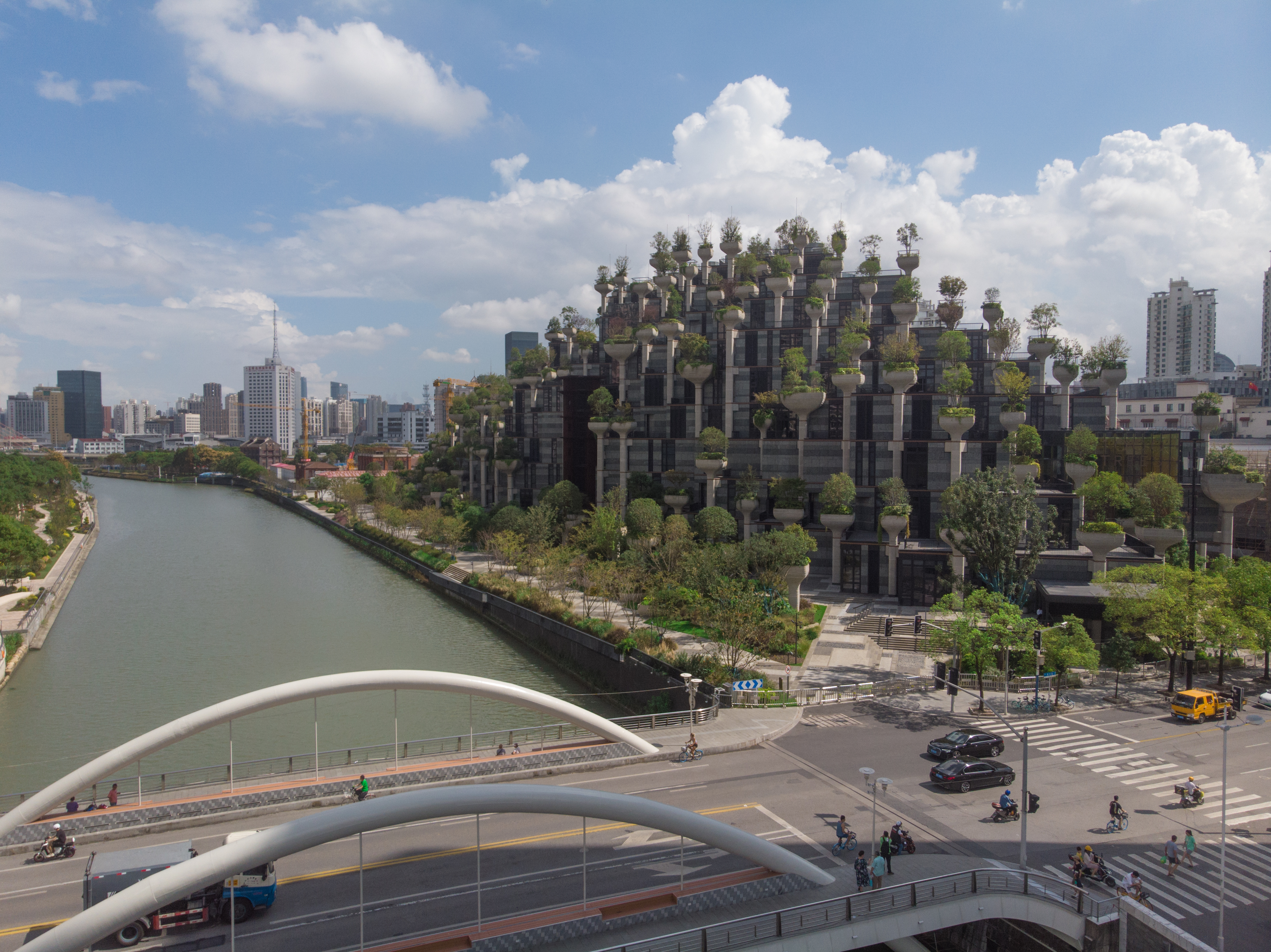 上海地标建筑1000棵树,上海天安千树谁开发的