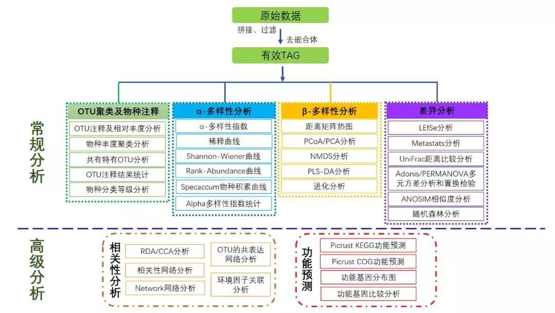 肠道菌群16s检测挂什么科,肠道菌群测序数据分析
