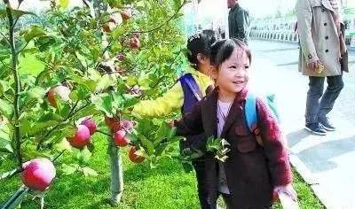 2020最赚钱农业项目,6个适合农村赚钱致富的好项目