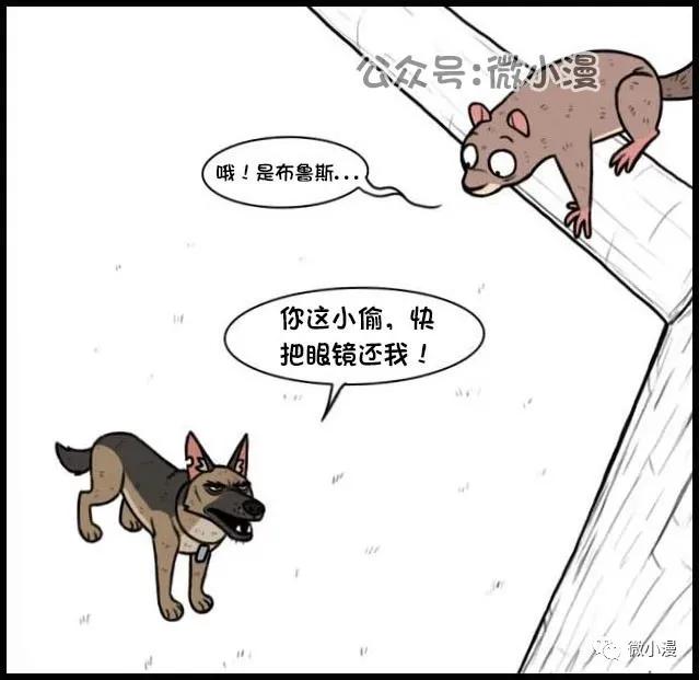 小猫咪欺负大狗漫画,小猫咪欺负大狗漫画暖心