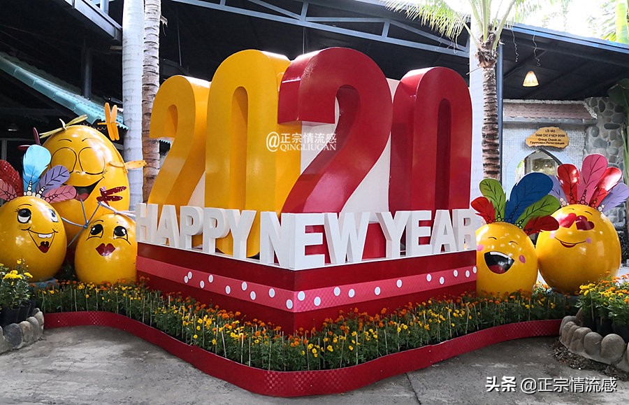 芽庄印象｜|想说爱你不容易